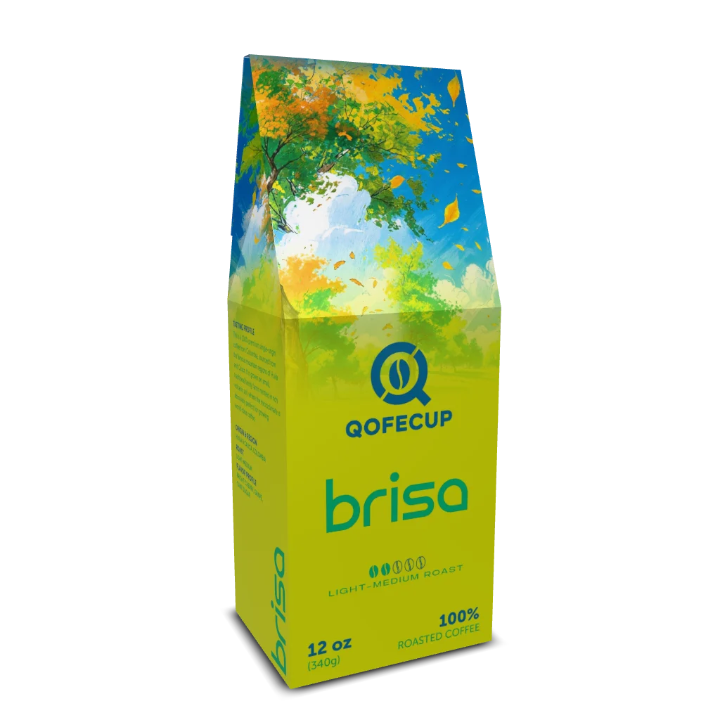 Brisa
