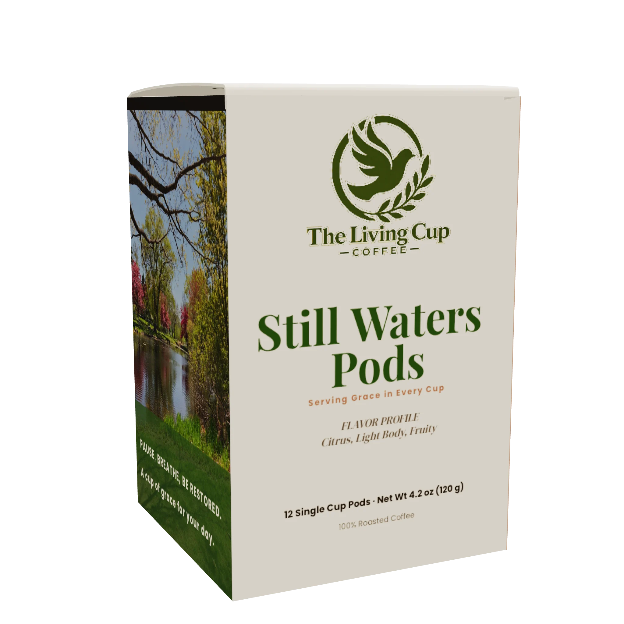 Still Waters Pod